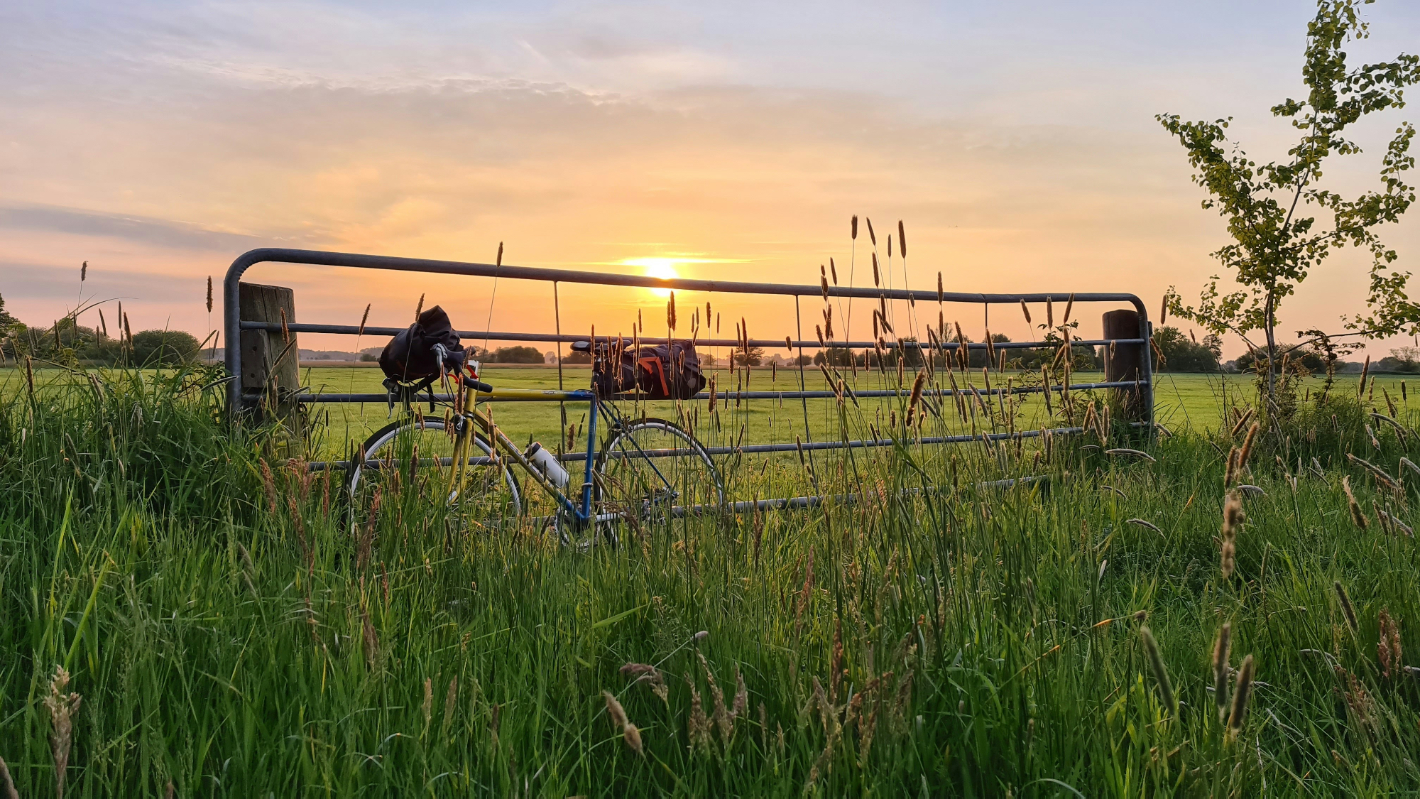 „Am Niederrhein bedeutet Natur mehr als nur grün – es ist Raum zum Durchatmen, Platz zum Entfalten und die perfekte Kulisse, um mal einen Gang runterzuschalten.“ | Niederrhein — einfach stark