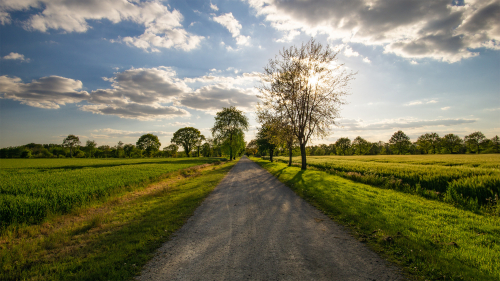 Standort | Niederrhein — einfach stark